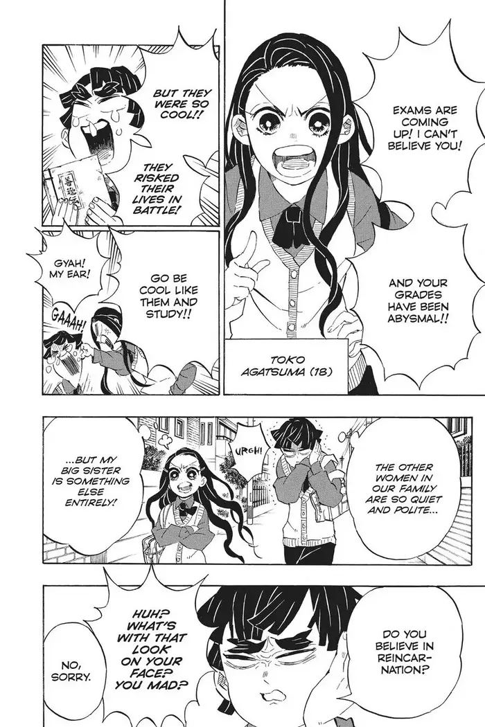 Demon Slayer Chapter 205 image 11_optimized